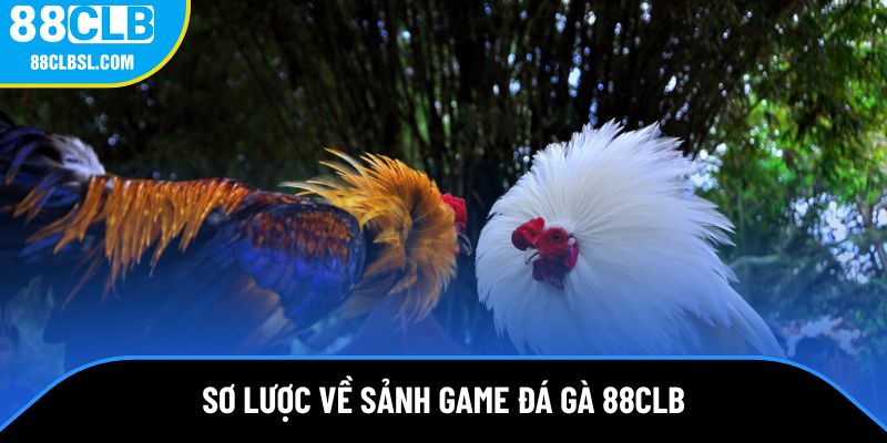 Giới thiệu về sảnh game đá gà 88CLB