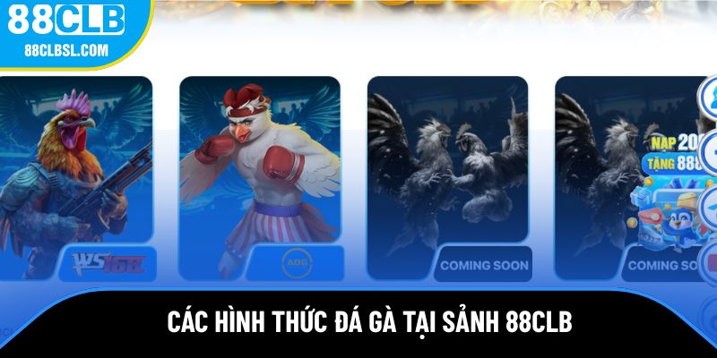 Các hình thức đá gà cực hot tại sảnh 88CLB